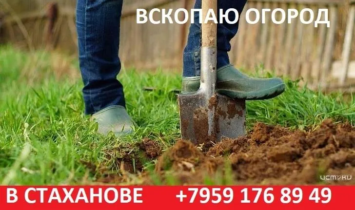 Вскопаю огород.